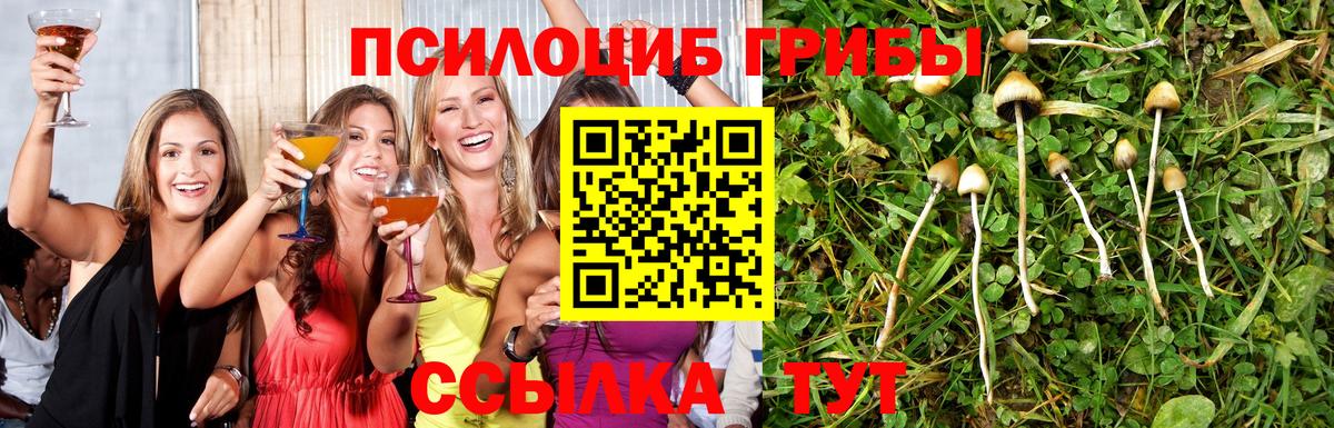 Псилоцибиновые грибы ЛСД Грозный
