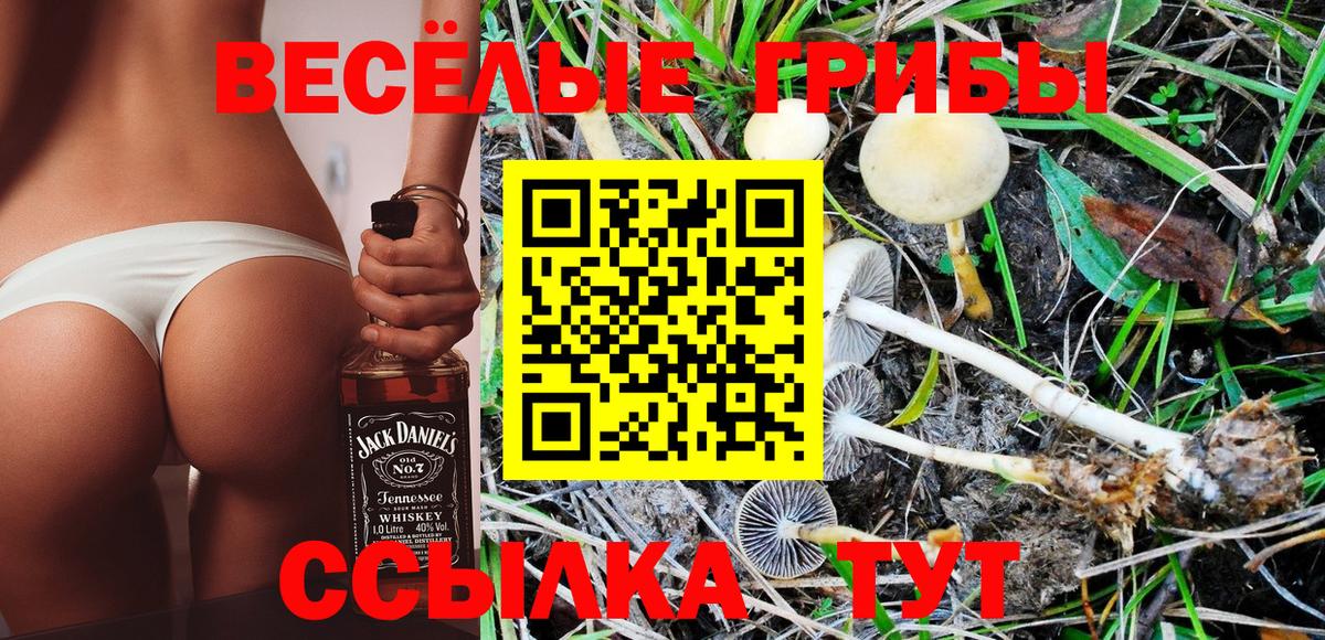 Галлюциногенные грибы ЛСД  Галлюциногенные грибы MAGIC MUSHROOMS  Грозный  Вход с VPN 